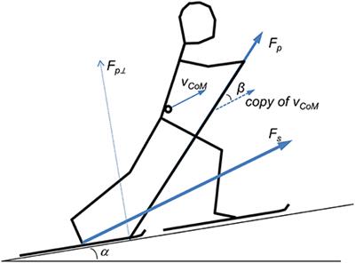 The Role of Power Fluctuations in the Preference of Diagonal vs. Double Poling Sub-Technique at Different Incline-Speed Combinations in Elite Cross-Country Skiers